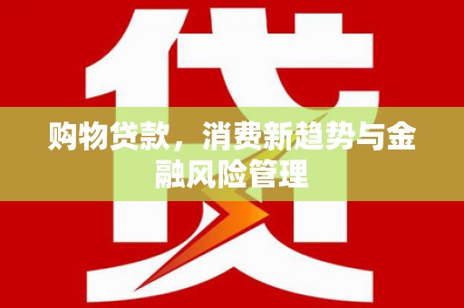 涿州购物贷款，消费新趋势与金融风险管理