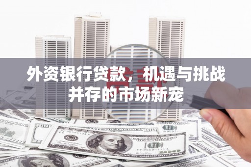 涿州外资银行贷款，机遇与挑战并存的市场新宠