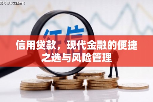 涿州信用贷款，现代金融的便捷之选与风险管理