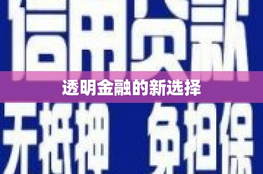 涿州透明金融的新选择