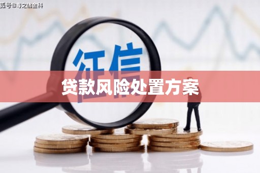 涿州贷款风险处置方案