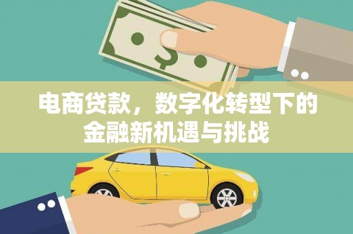 涿州电商贷款，数字化转型下的金融新机遇与挑战