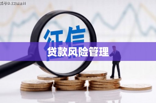 涿州贷款风险管理