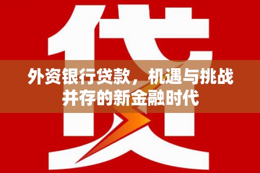 涿州外资银行贷款，机遇与挑战并存的新金融时代