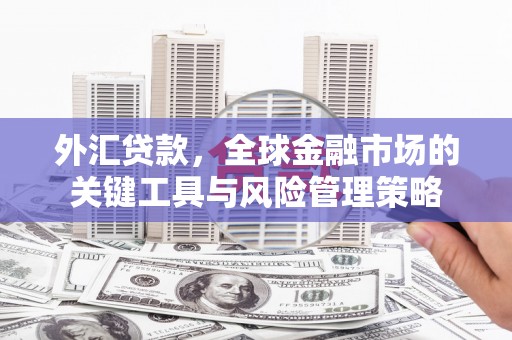 涿州外汇贷款，全球金融市场的关键工具与风险管理策略