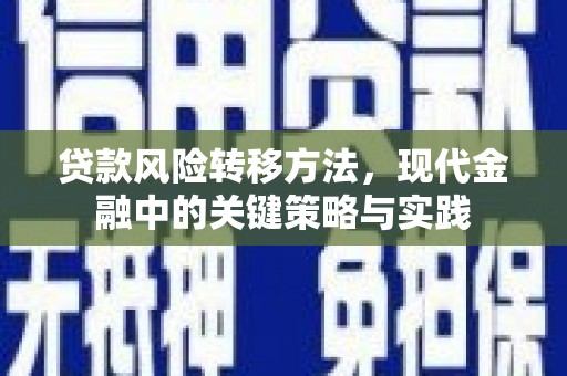 涿州贷款风险转移方法，现代金融中的关键策略与实践