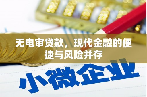 涿州无电审贷款，现代金融的便捷与风险并存