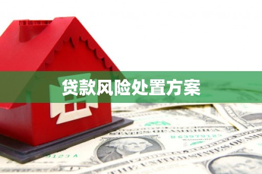 涿州贷款风险处置方案