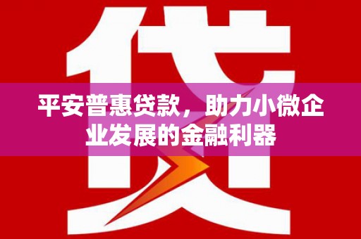 涿州平安普惠贷款，助力小微企业发展的金融利器