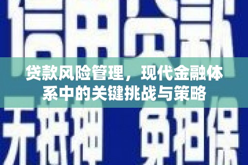 涿州贷款风险管理，现代金融体系中的关键挑战与策略