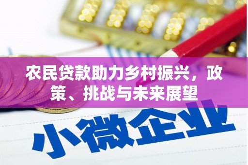 涿州农民贷款助力乡村振兴，政策、挑战与未来展望