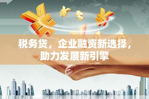 涿州税务贷，企业融资新选择，助力发展新引擎