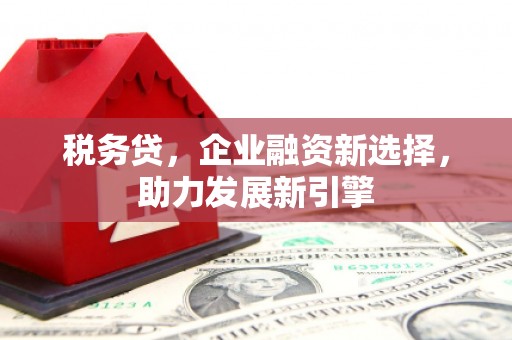 涿州税务贷，企业融资新选择，助力发展新引擎