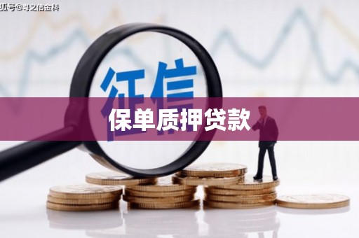涿州保单质押贷款