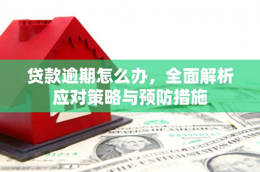 涿州贷款逾期怎么办，全面解析应对策略与预防措施
