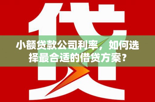 涿州小额贷款公司利率，如何选择最合适的借贷方案？
