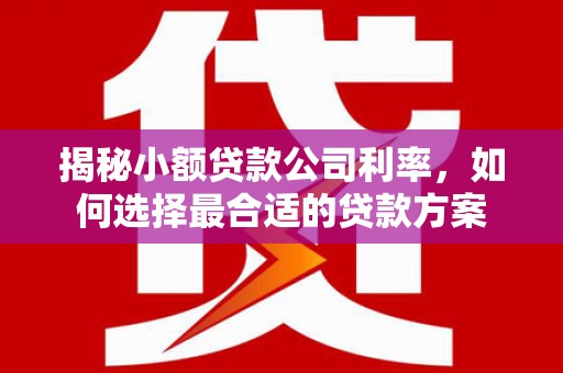 涿州揭秘小额贷款公司利率，如何选择最合适的贷款方案