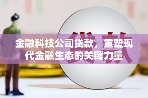 涿州金融科技公司贷款，重塑现代金融生态的关键力量