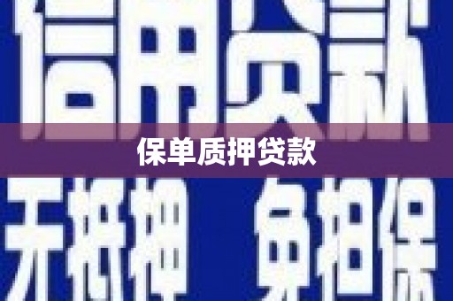 涿州保单质押贷款