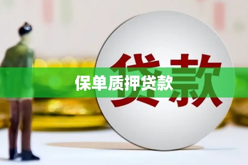 涿州保单质押贷款