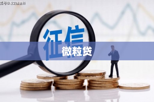 涿州微粒贷