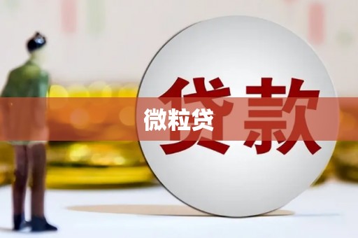 涿州微粒贷