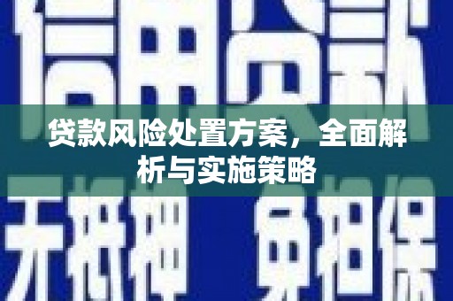涿州贷款风险处置方案，全面解析与实施策略