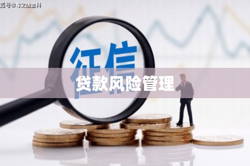 涿州贷款风险管理