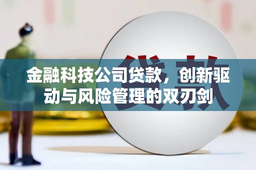 涿州金融科技公司贷款，创新驱动与风险管理的双刃剑